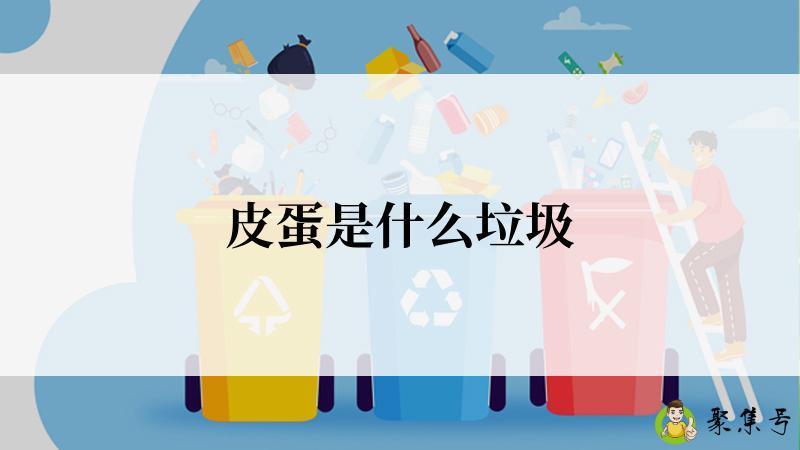 皮蛋是什么垃圾