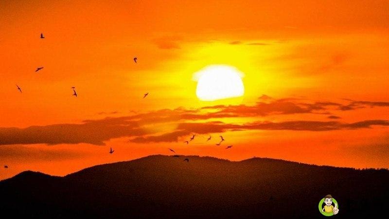 一般女生发晚霞是什么意思