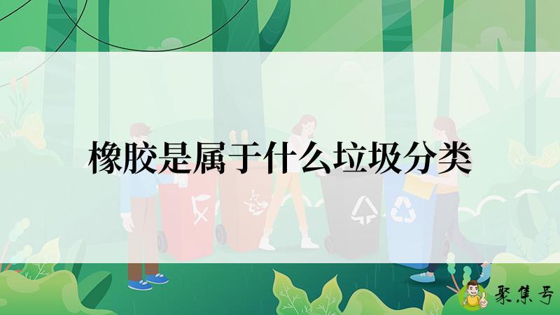 橡胶是属于什么垃圾分类