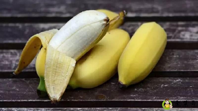 小米蕉和苹果蕉有啥区别吗