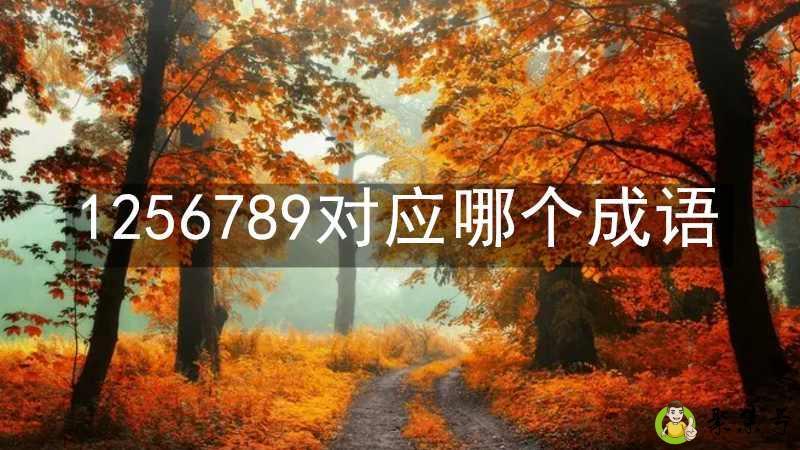 1256789对应哪个成语