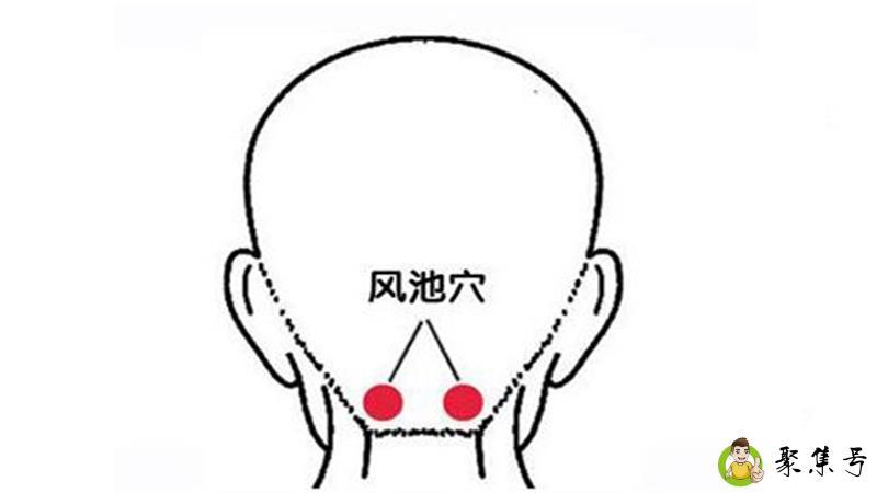 天柱和风池怎么区分