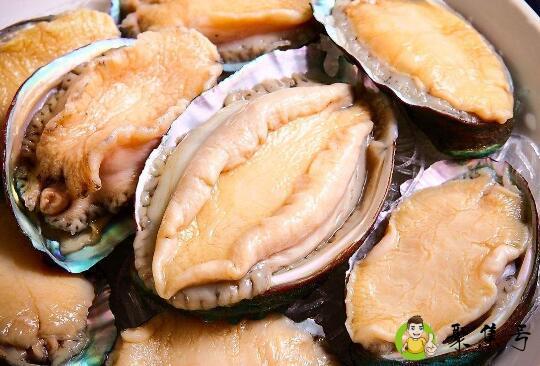 两头鲍鱼代表什么意思