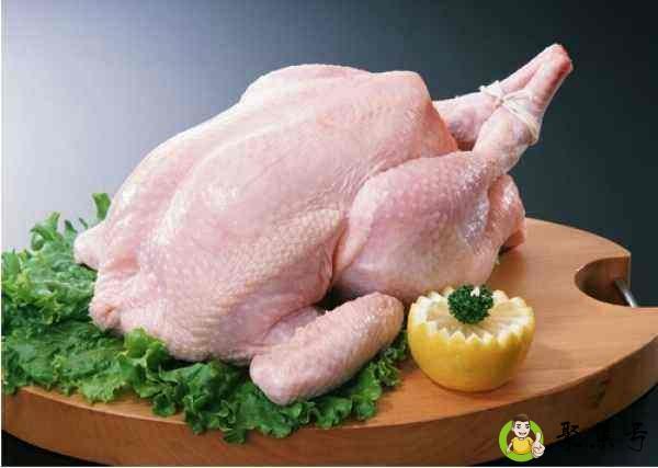 没有利齿的动物是什么生肖