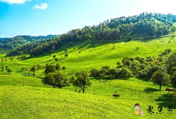 关山牧场下雨天能玩吗