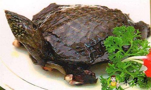 甲鱼要炖多长时间