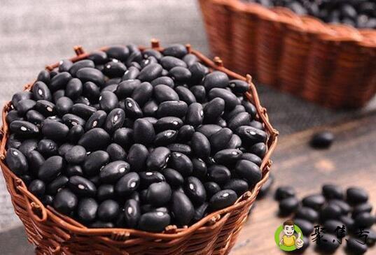 小黑豆和大黑豆的区别