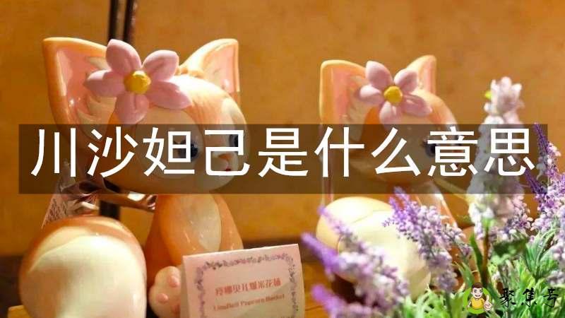 川沙妲己是什么意思