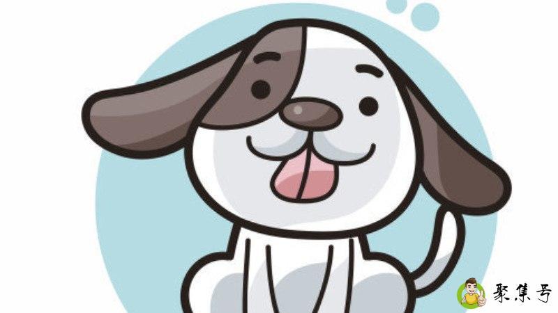 载道怨声是什么生肖