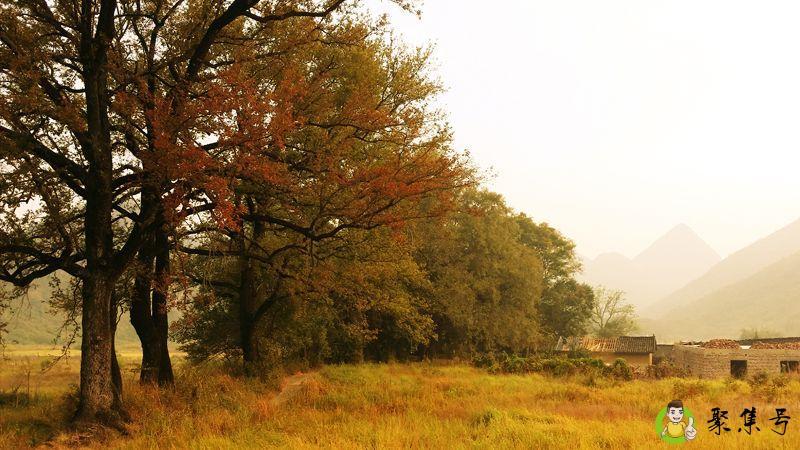 格外的近义词是什么