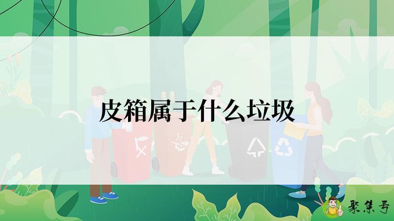 皮箱属于什么垃圾