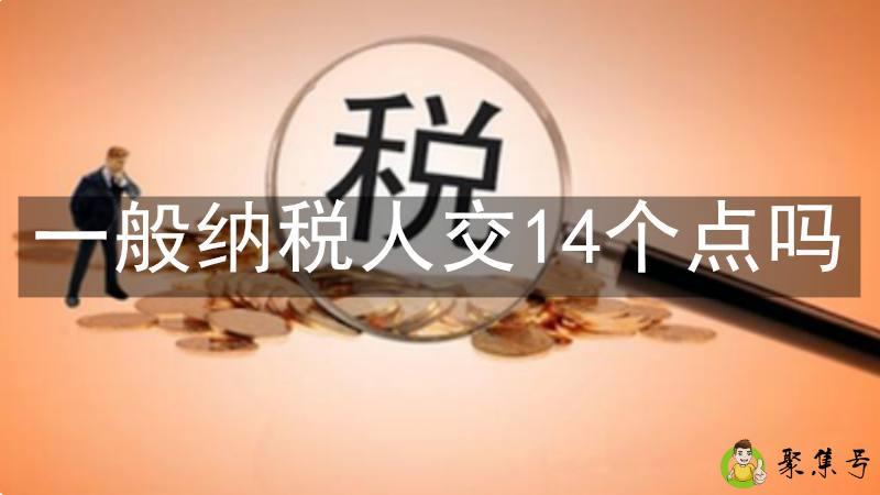一般纳税人交14个点吗