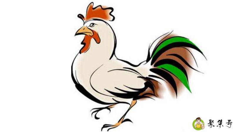 高卧白云观日窟是什么生肖