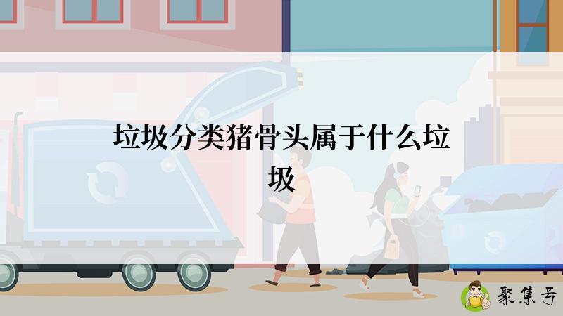 垃圾分类猪骨头属于什么垃圾