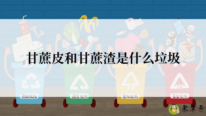 甘蔗皮和甘蔗渣是什么垃圾