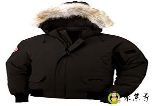 加拿大鹅怎么洗呢