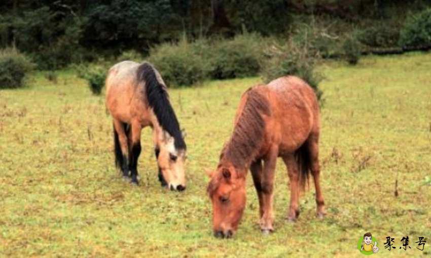 老什么识图成语是什么意思