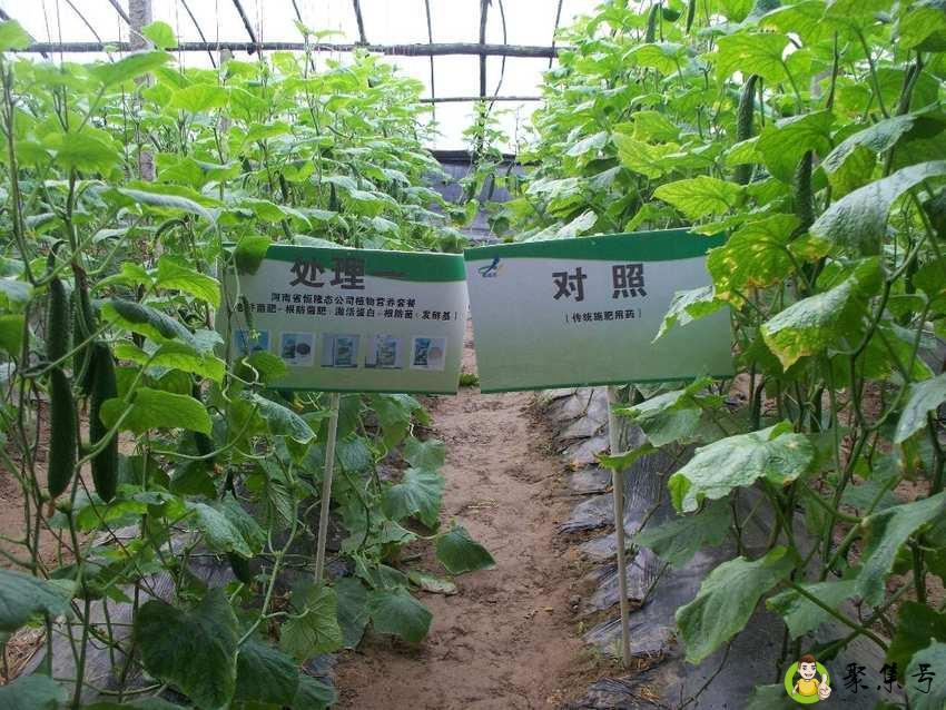 化学防治和生物防治的区别