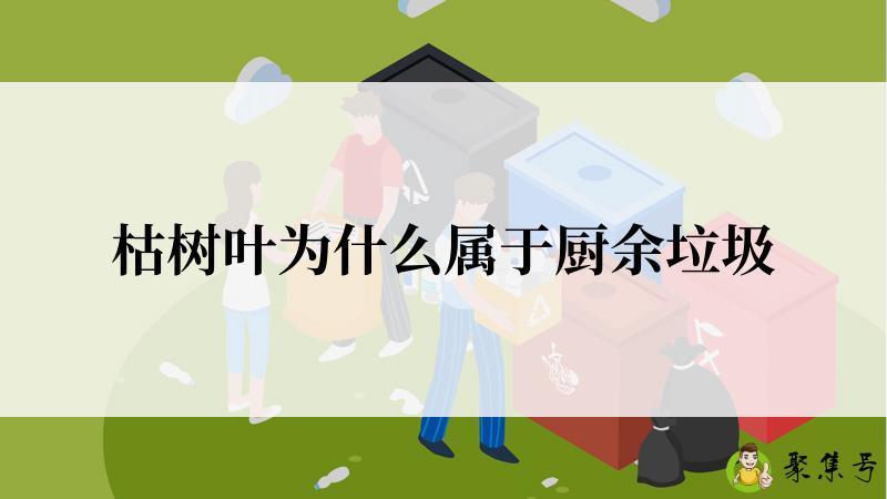枯树叶为什么属于厨余垃圾