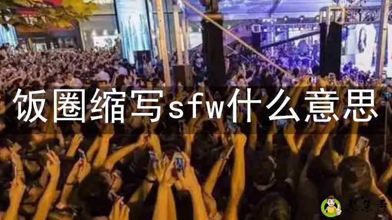 饭圈缩写sfw什么意思