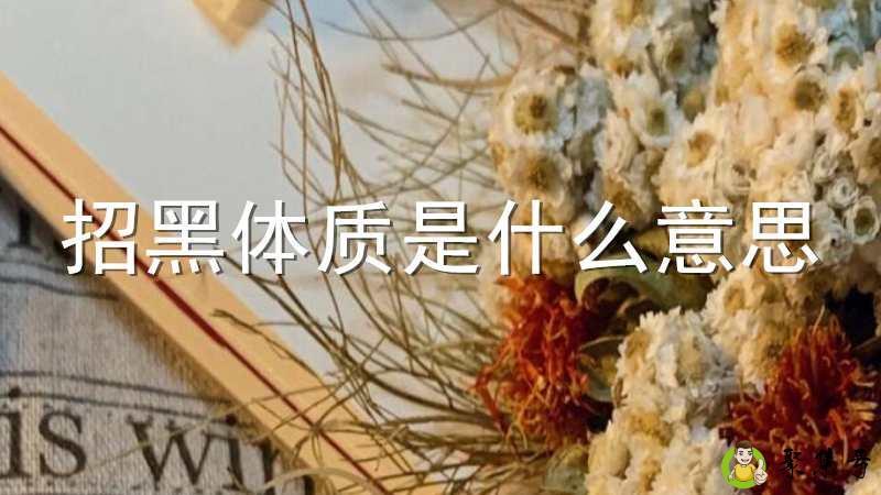 招黑体质是什么意思