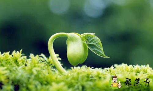 如何消除怕死的心态