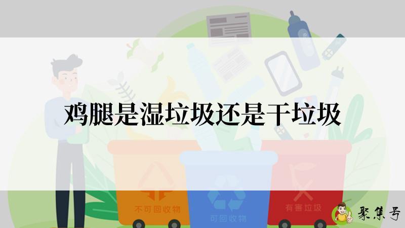 鸡腿是湿垃圾还是干垃圾