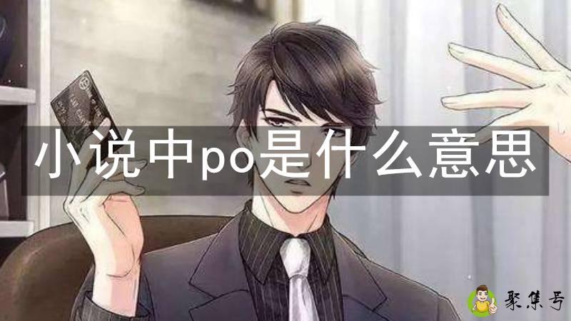 小说中po是什么意思