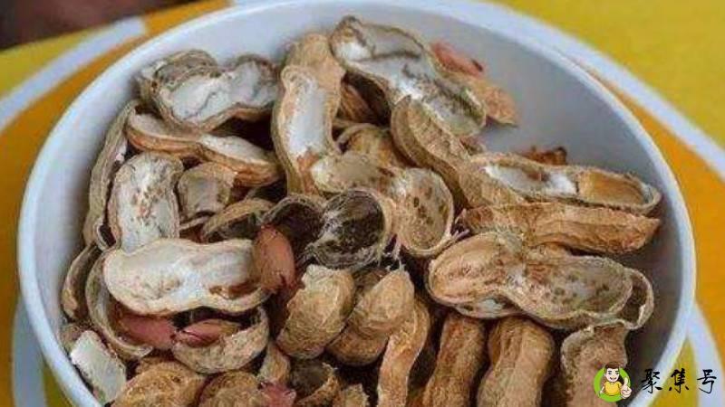 花生壳是干垃圾还是湿垃圾