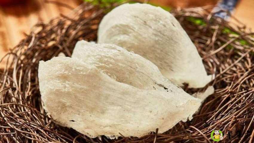 什么是燕窝来历