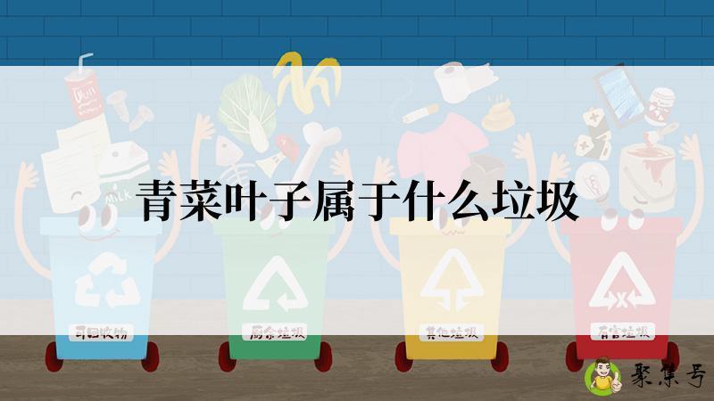 青菜叶子属于什么垃圾