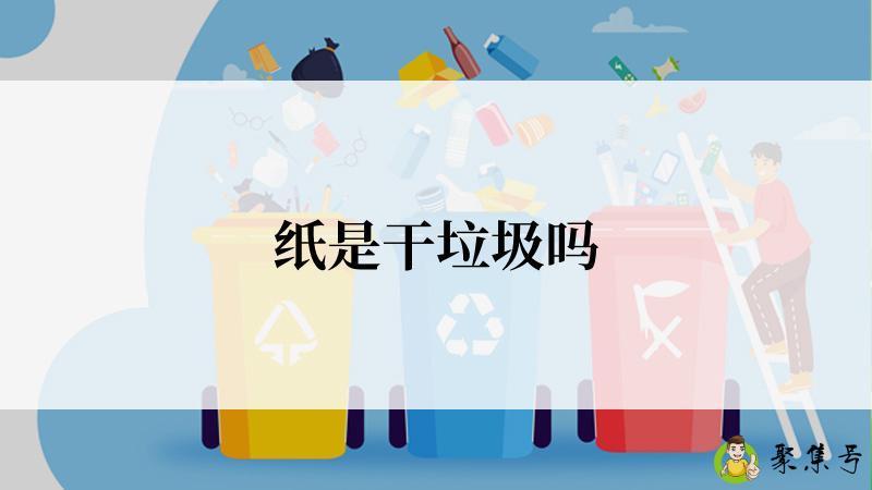 纸是干垃圾吗