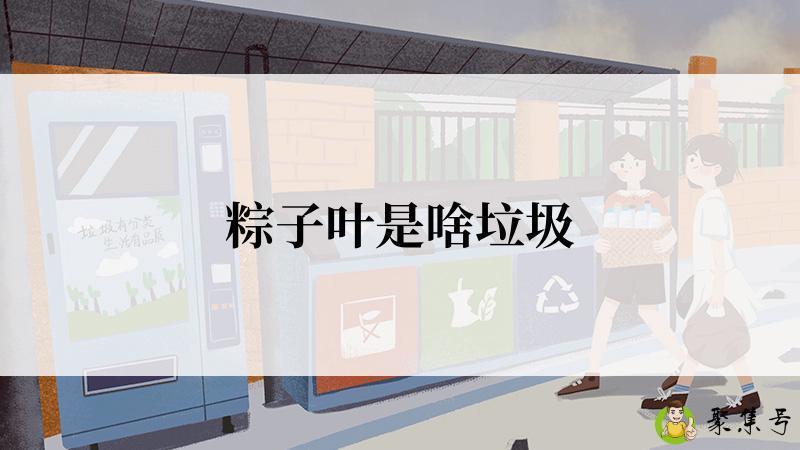 粽子叶是啥垃圾