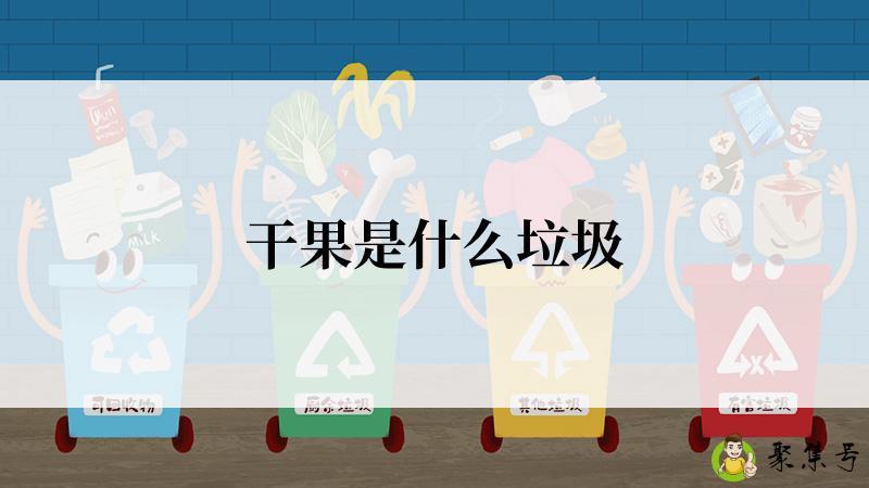 干果是什么垃圾