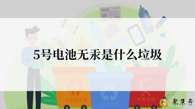 5号电池无汞是什么垃圾