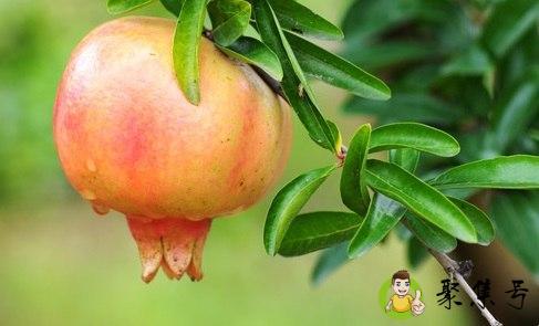 网络16代表什么意思