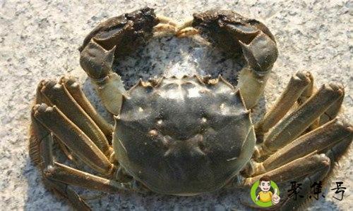 一月份有螃蟹吃吗