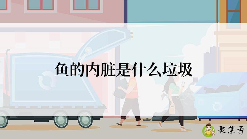 鱼的内脏是什么垃圾