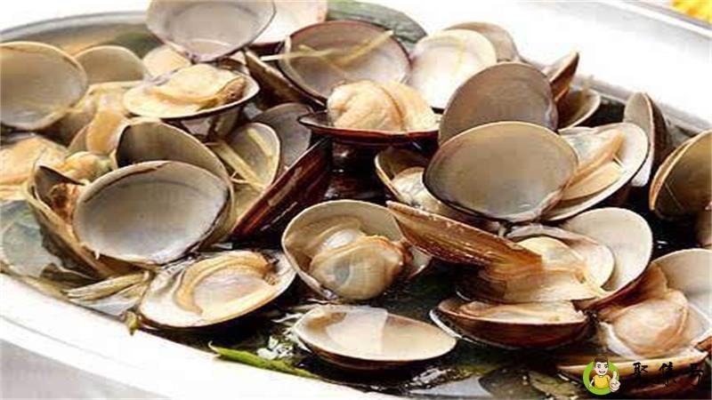 花蛤的壳属于哪类垃圾