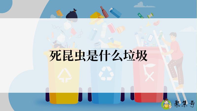 死昆虫是什么垃圾