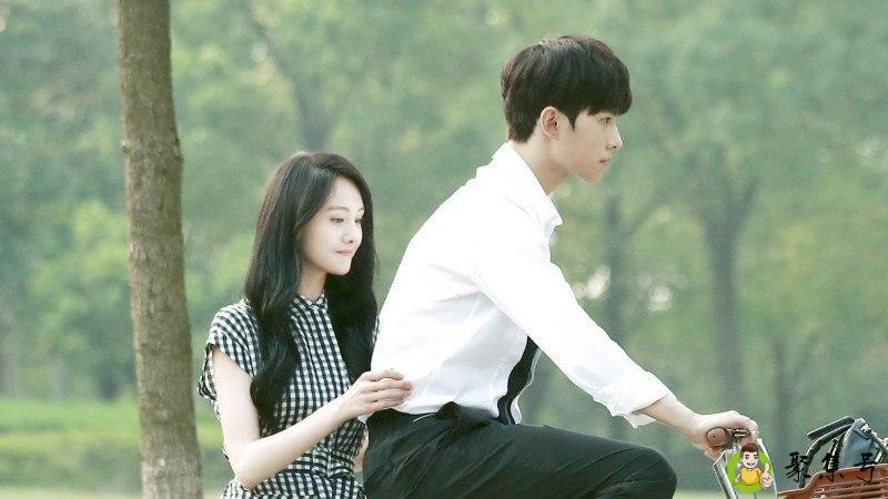 微微一笑很倾城一共多少集