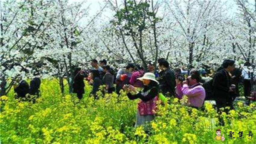 踏青扫墓的意思