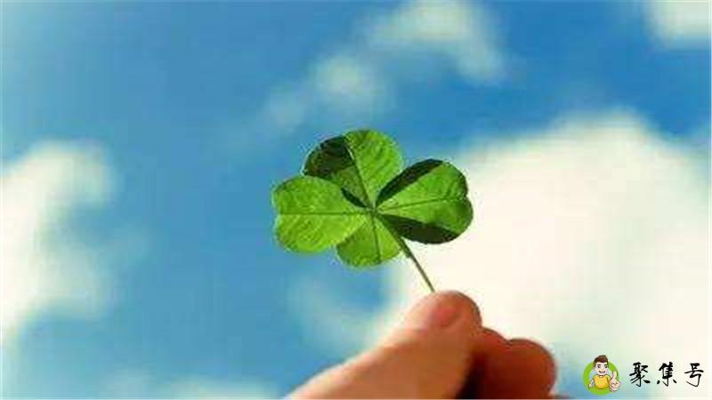 何其幸运什么意思