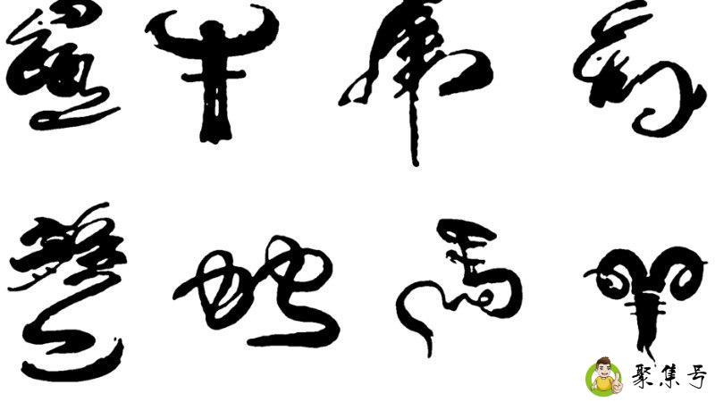 明肖和暗肖是什么生肖