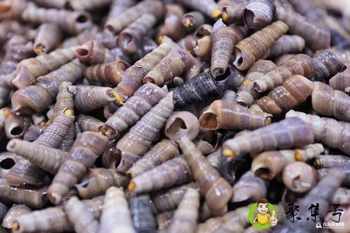钉螺是淡水还是海水生物