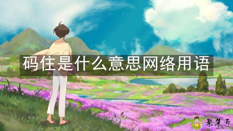 码住是什么意思网络用语