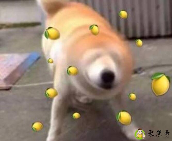 我酸了是什么梗