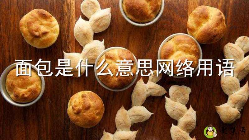 面包是什么意思网络用语