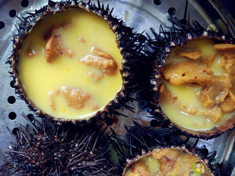 海胆什么季节吃