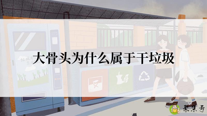 大骨头为什么属于干垃圾